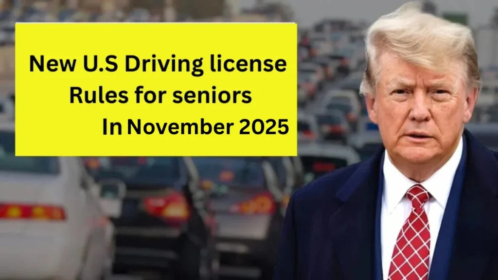 U.S. Driving License Changes 2025